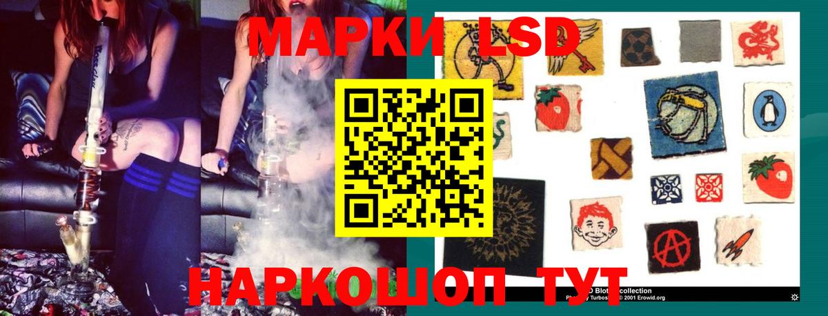 Псилоцибиновые грибы Котельники