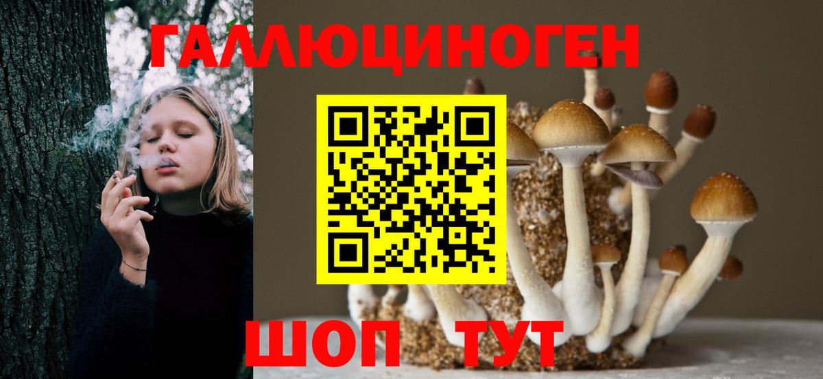Галлюциногенные грибы Magic Shrooms  где найти   Котельники  Галлюциногенные грибы прущие грибы  Вход с VPN 